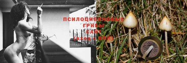 2c-b Краснослободск
