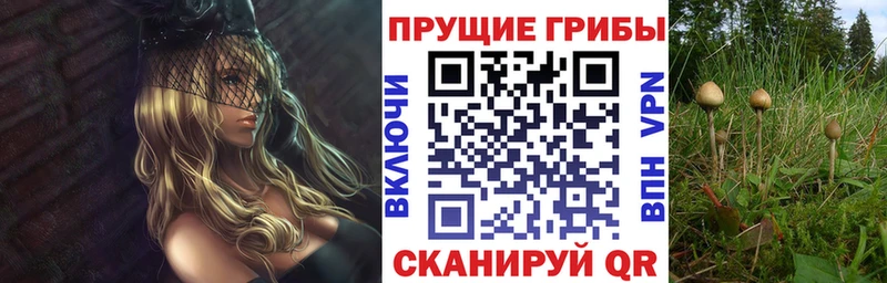 Галлюциногенные грибы мухоморы  Купить где  Кузнецк 